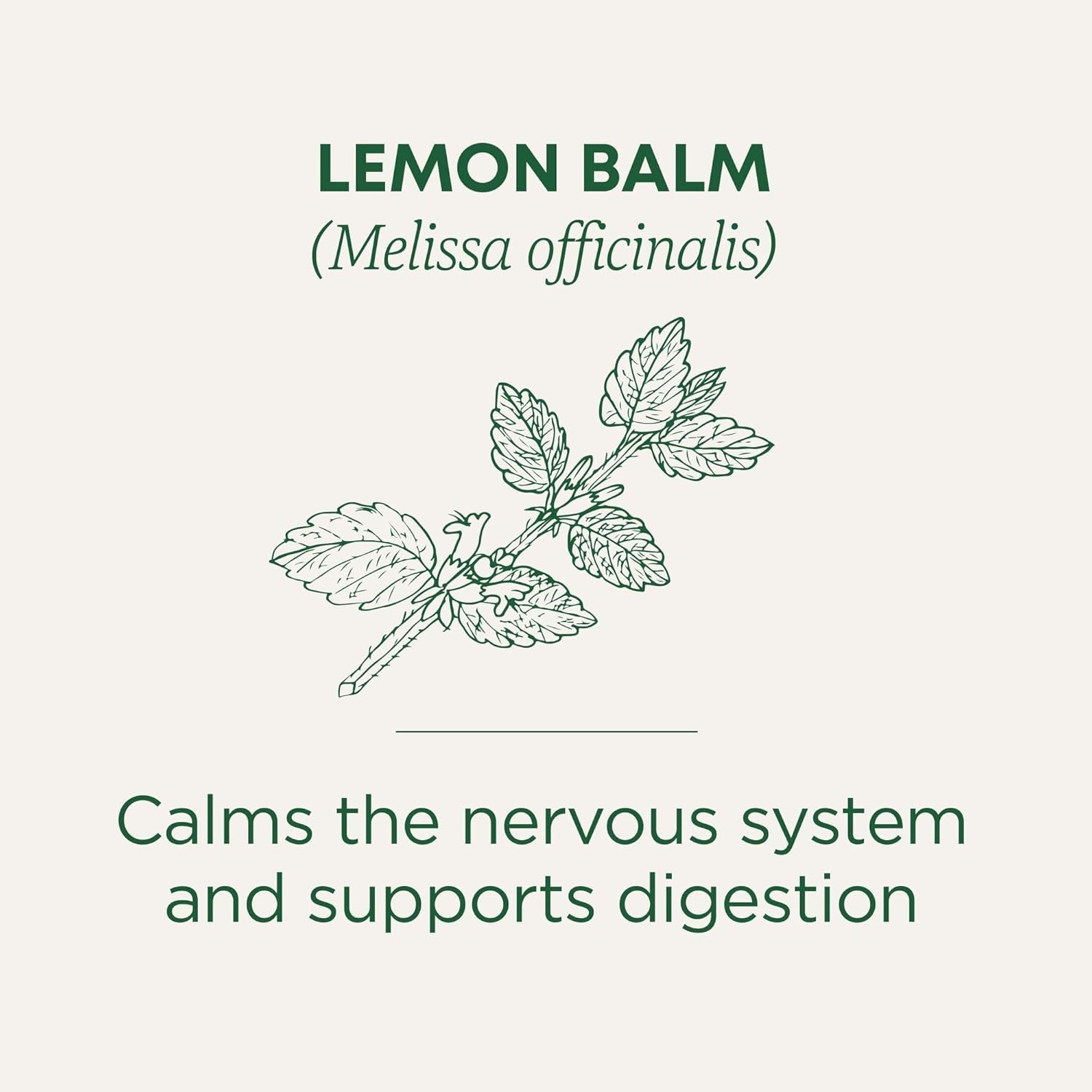 Traditional Medicinals Organic Lemon Balm Tea, 16 Tea Bags