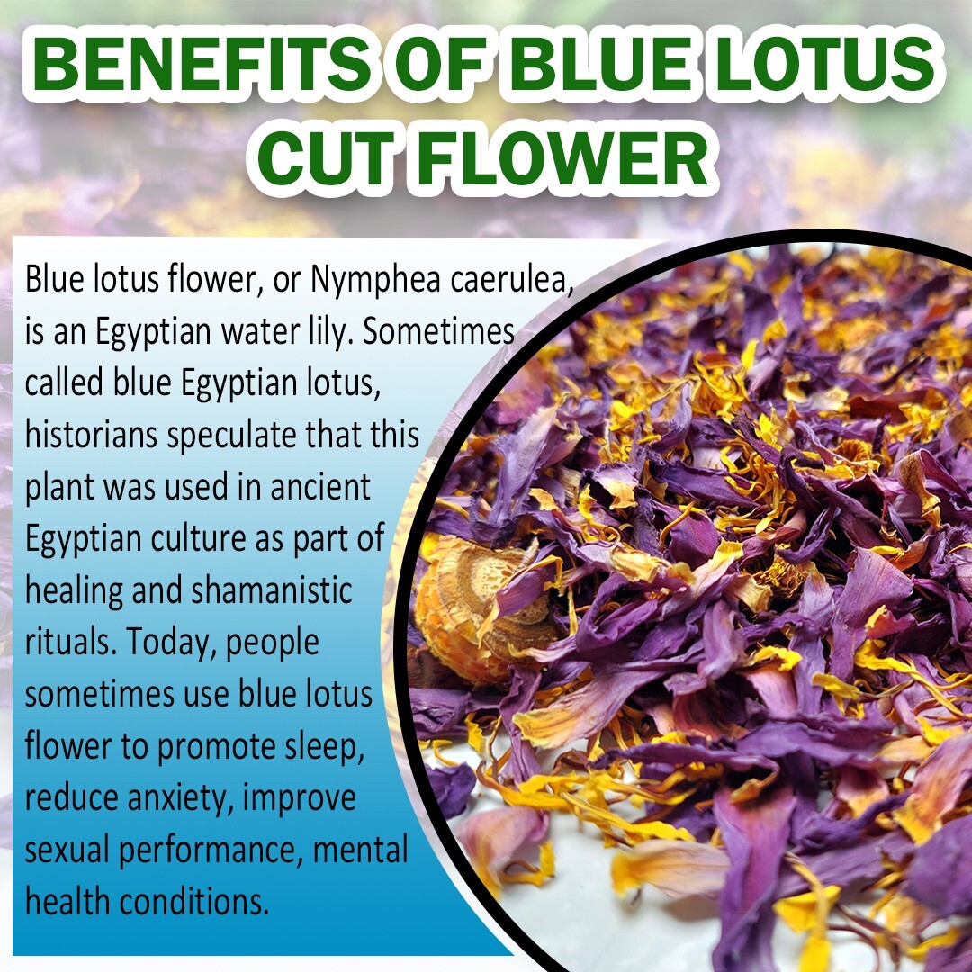 500g Ceylon Dried Blue Lotus Cut Flowers Nymphaea Caerulea Egyptian Herbal Tea