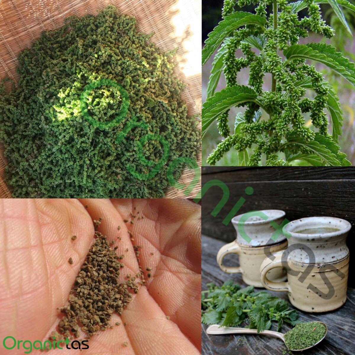 Organic NETTLE SEED TEA – Dried & Crushed Nettle Seeds Tea with Benefits 200g