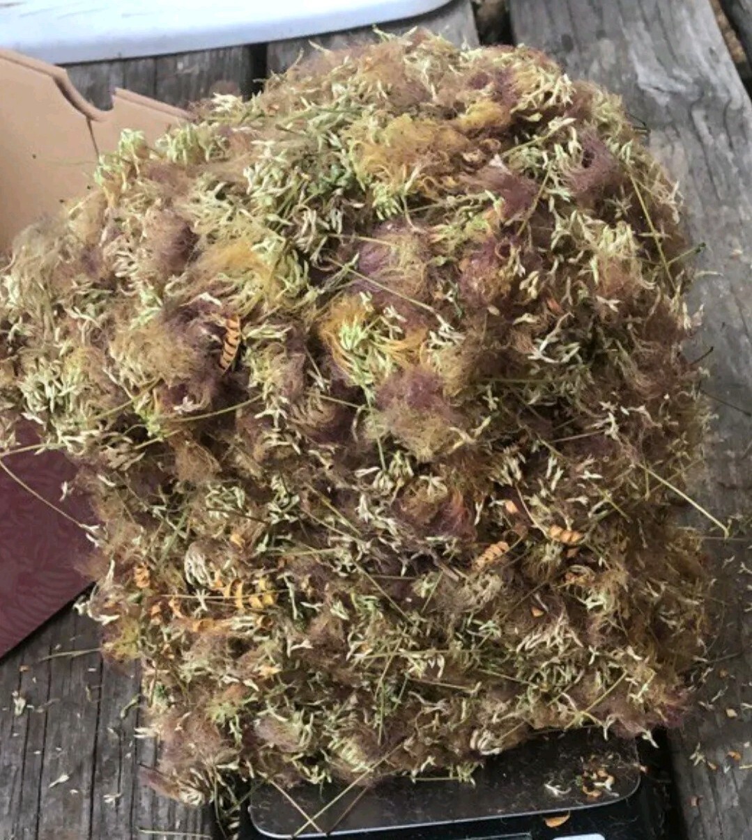 Albizia Julibrissin Mimosa Flower Dried Pink Blossoms Tea Herb Brew Organic