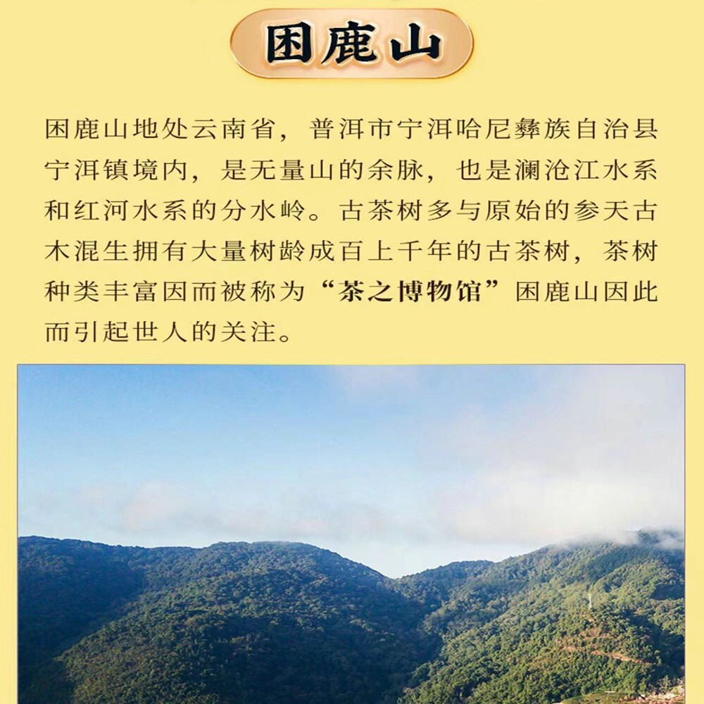 Pu-Erh tea,2020,SHENG JIA YUAN,困鹿山 Sleepy Deer Mountain,357g,Raw