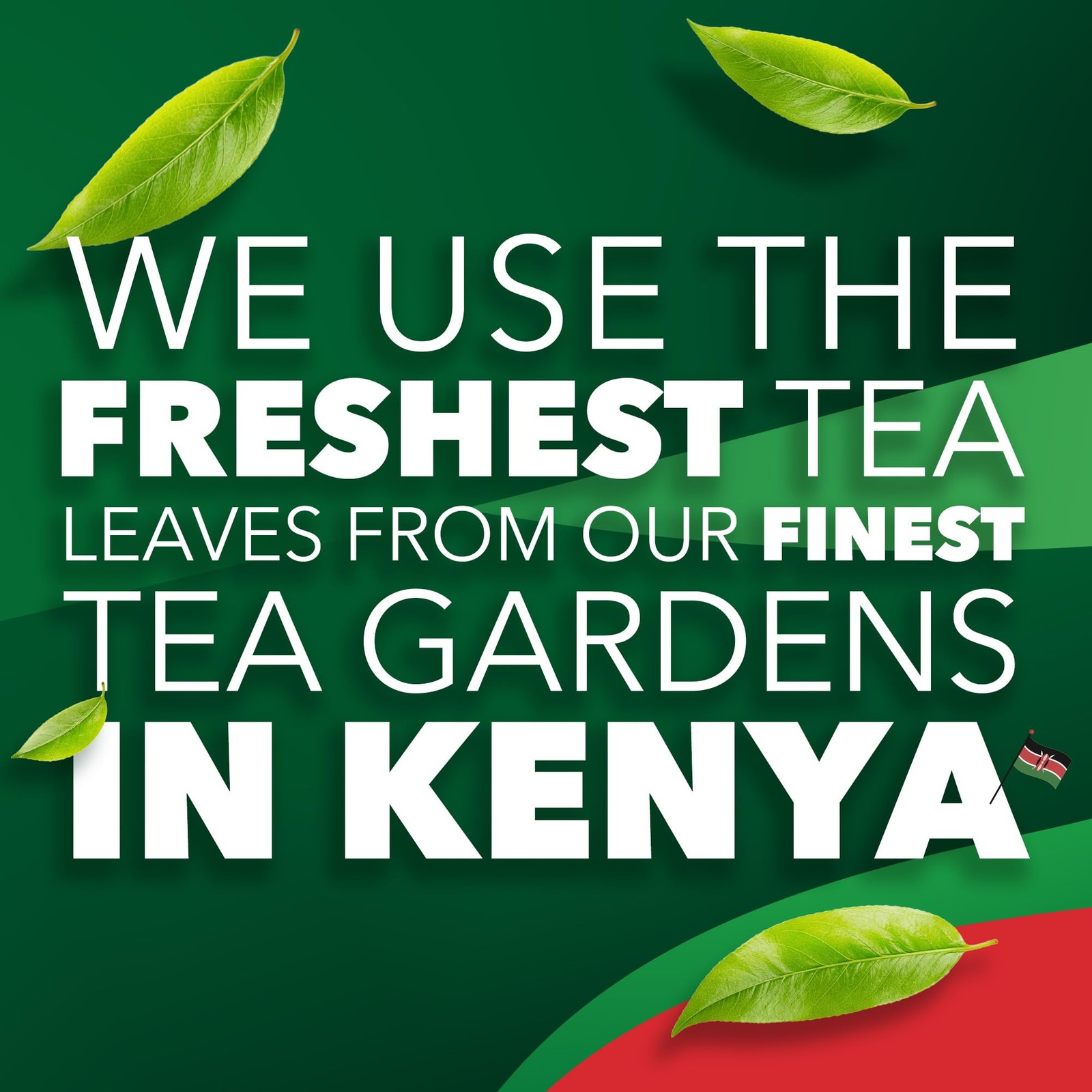 Original Black Tea Bags Bulk Flavourful & Fullbodied Perfect Flavour Release …
