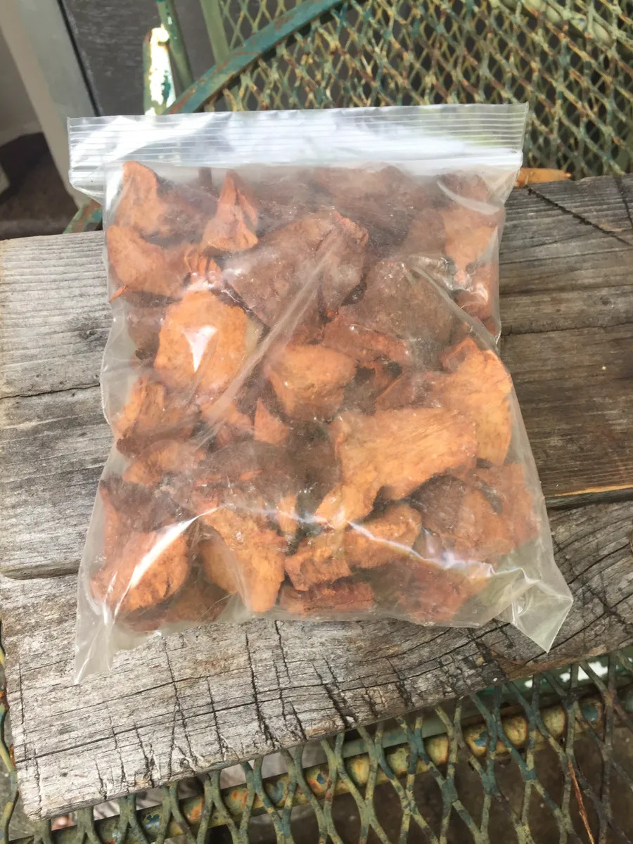 Jamaican wildcrafted Chaney root