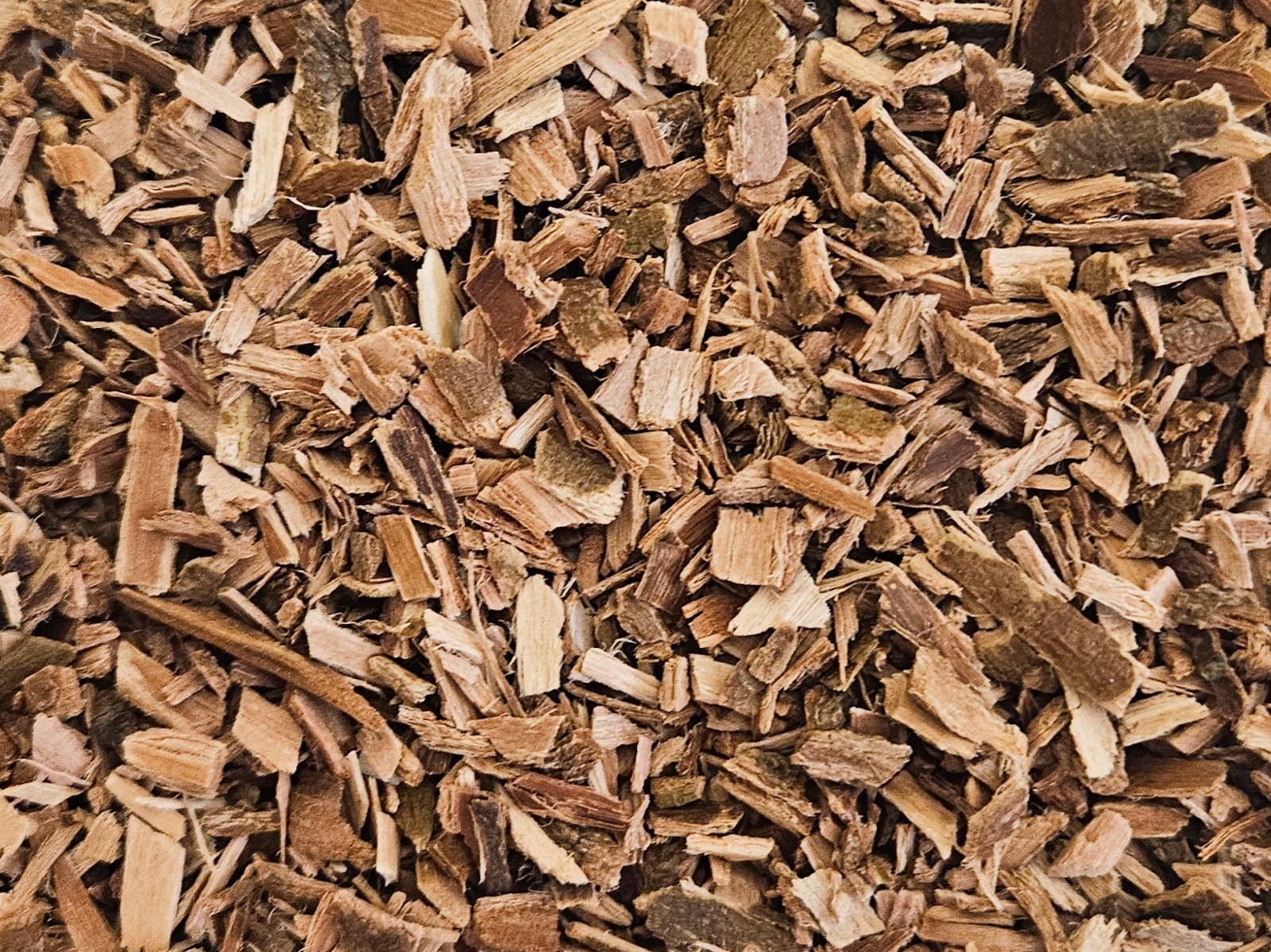 White Willow Bark – Salix alba – Organic Dried C/S Herb Apothecary Tea 0.5-4 oz