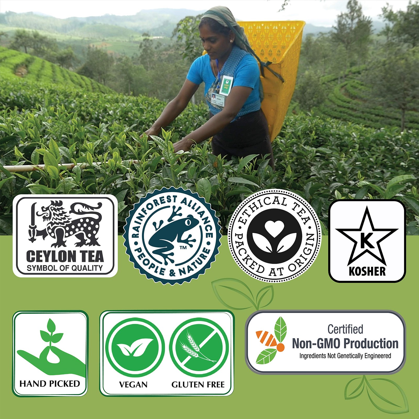 Jaf Tea – Tea Sampler/Gift Set – Pure Black Flavoured Tea Collection – 4 Cla…