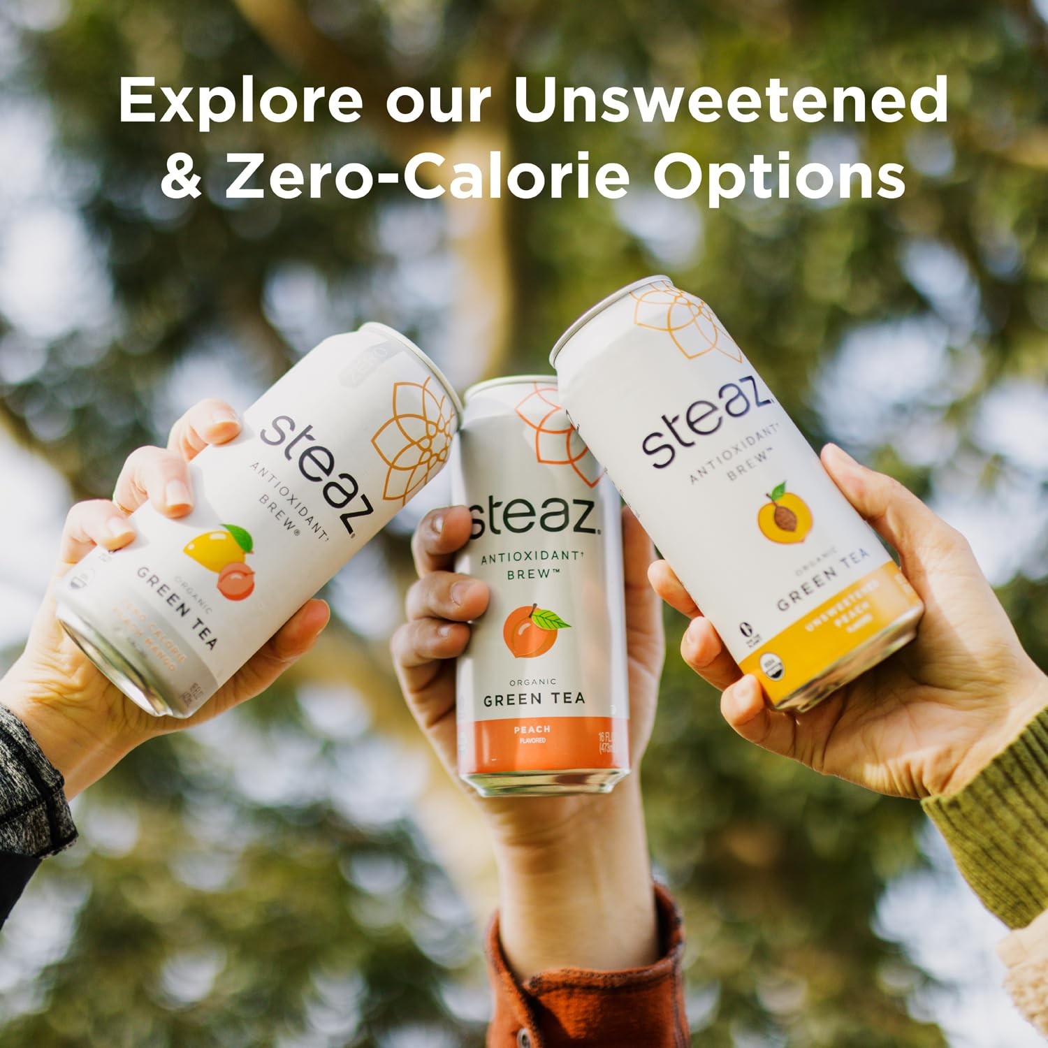 Steaz – Organic Green Tea – Peach Flavored (12 Pack) – Antioxidant Brew – 65m…