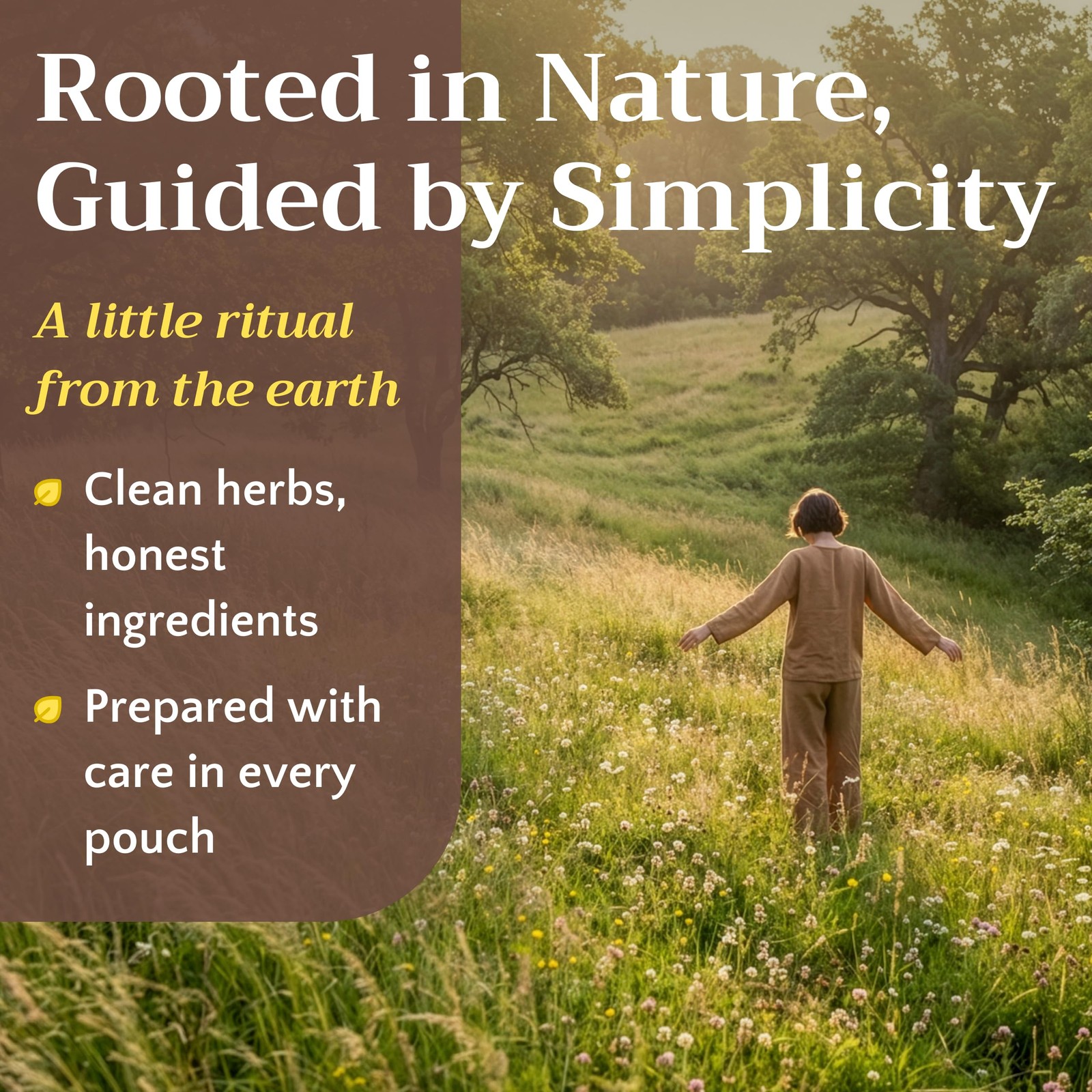 Dandelion Root Tea Herb Loose – Dried Cut and Sifted Roots – Raw Natural Unro…