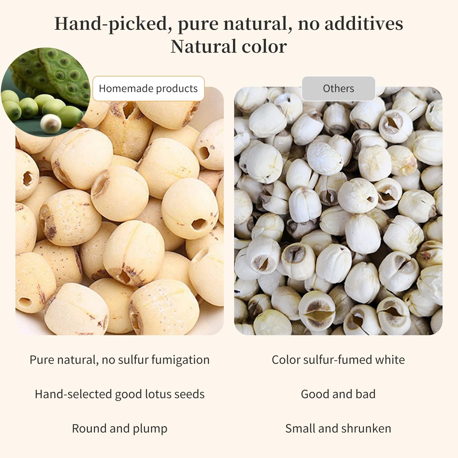 Natural Lotus Seeds Dried Lotus Seed 14.1oz/400g White Lotus Seeds Core Remov…