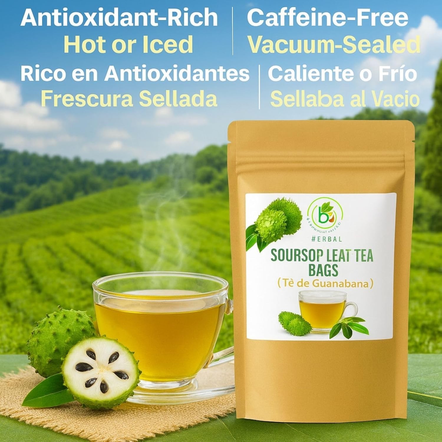 Guanábana (Soursop) Herbal Tea– 50 Bags by BexpertsUSA