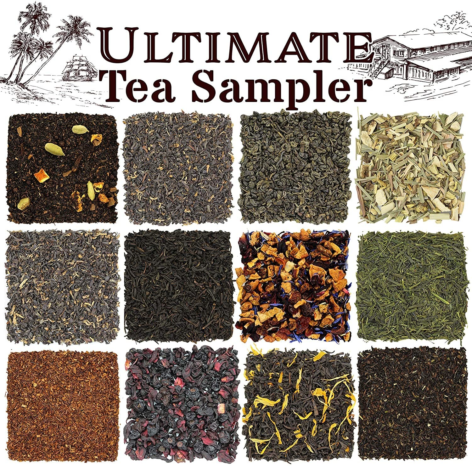 Ultimate Loose Leaf Tea Sampler Featuring 12 Black/ Green/ Herbal Teas
