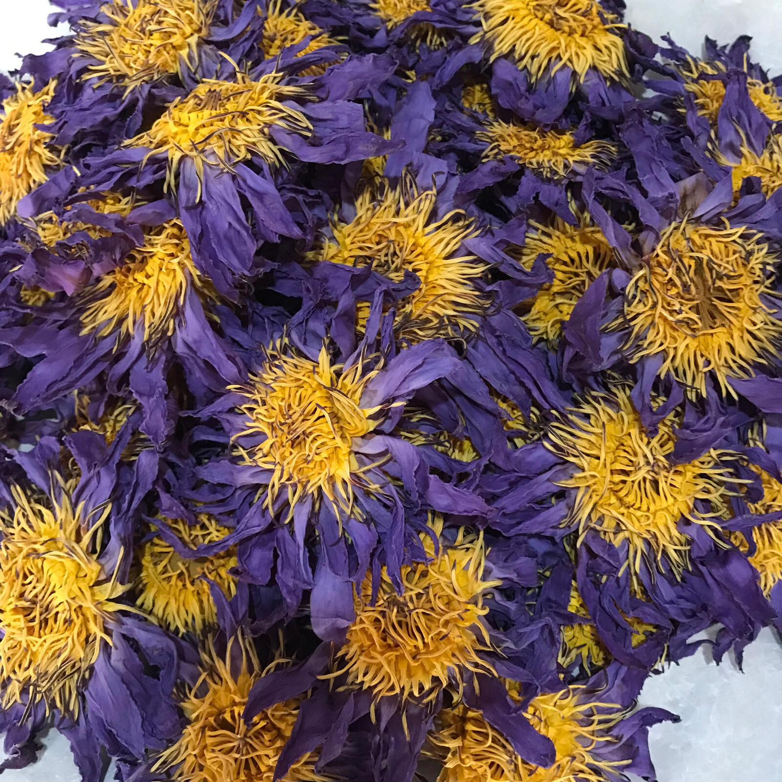 Dried Blue Lotus 2kg Nymphaea Caerulea Hand Pick Ceylon Flowers Organic Tea