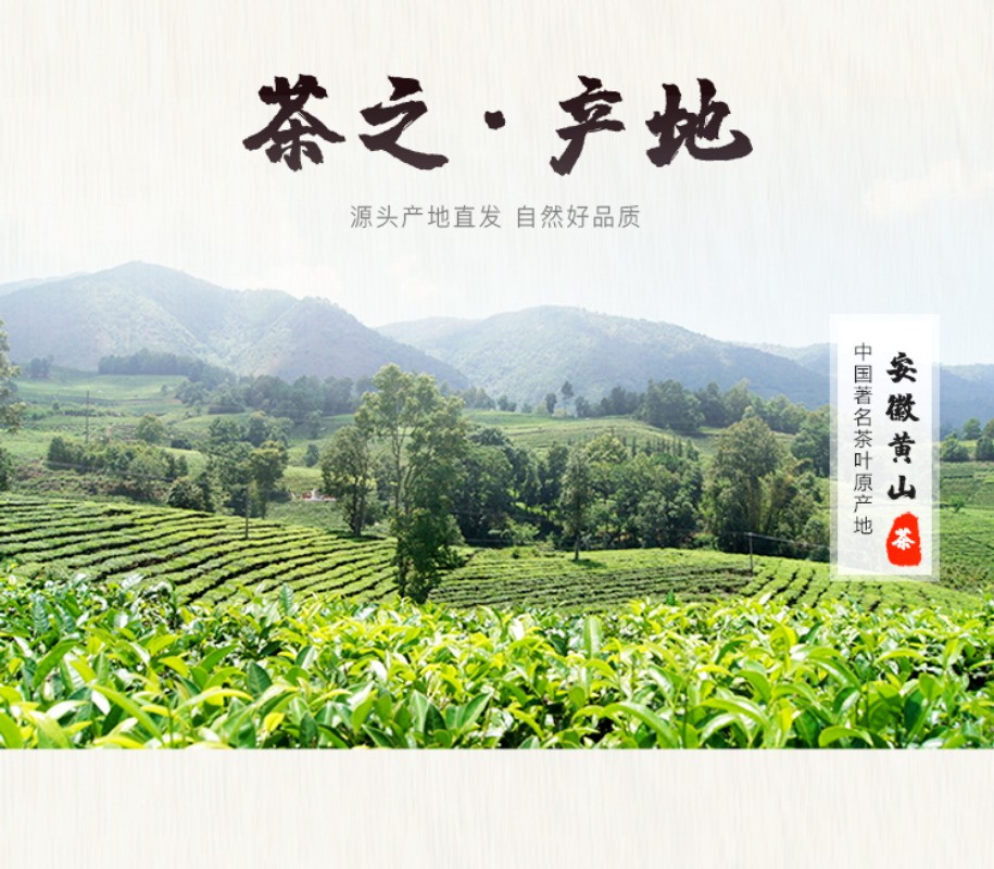 250g New Tea Leaves 2025 Mount Huangshan Maofeng Maojian Green Tea