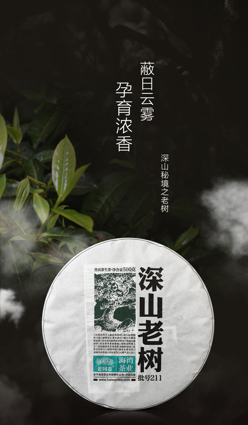 2021 Haiwan Shen Puer Batch 211 “Remote Mountain Old Tree” Raw Puerh Tea 500g