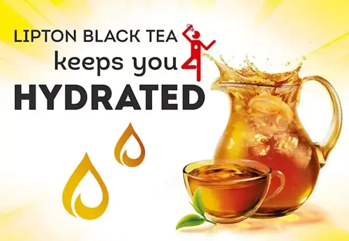 Lipton Iced Tea, GALLON Size Tea Bags (24 ct.) Family