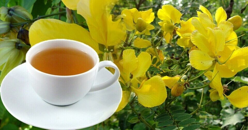 Ranawara Mal 250g Herbal Tea Cassia Senna Auriculata Avarampoo Natural Ceylon