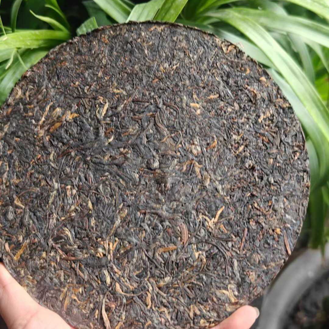 Rare Vintage 1970s Hanoi Brand Red Label Iron Cake Old Raw Pu-erh Tea 400g