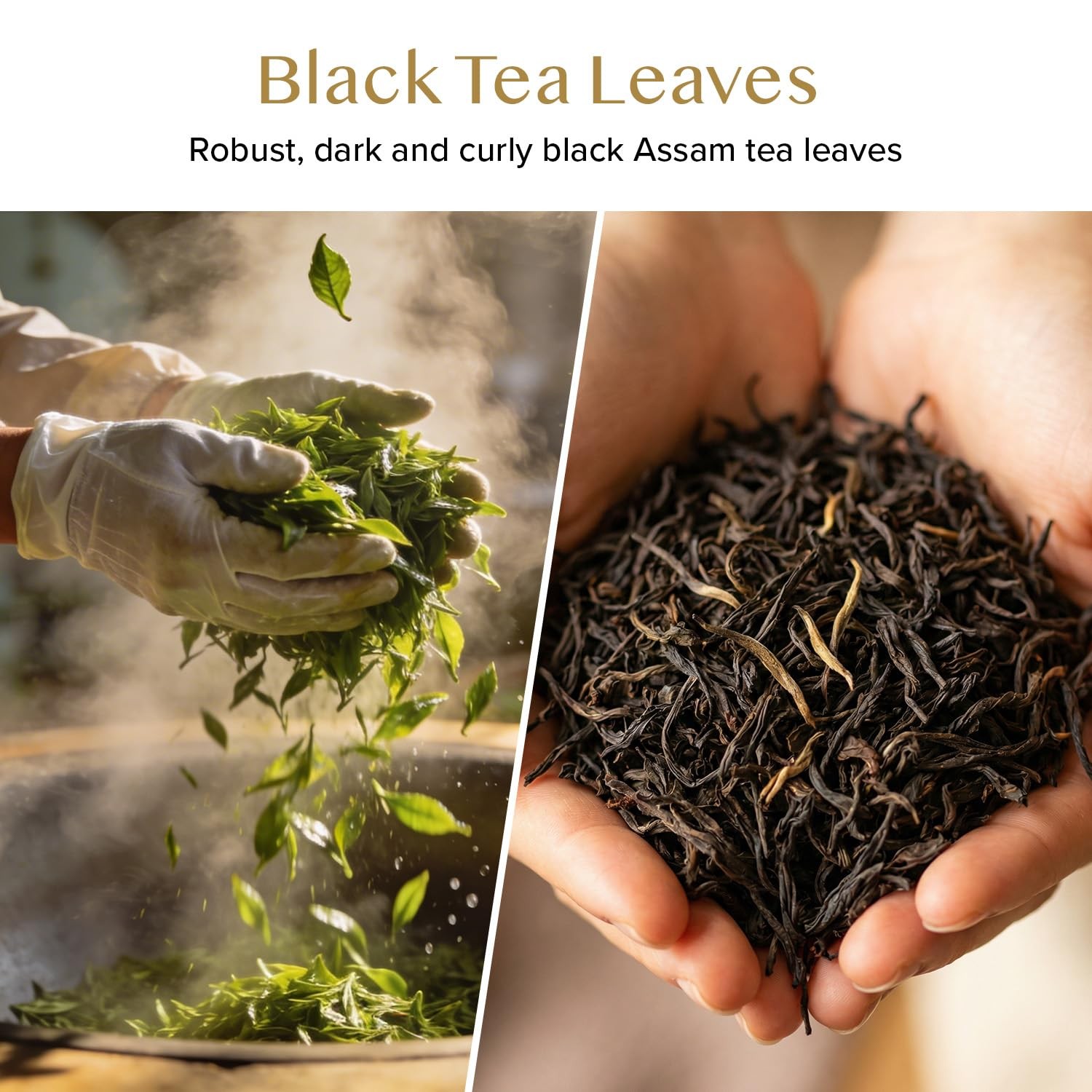 VAHDAM, Assam Black Tea Leaves 340g/12oz 170+ Servings | High Caffeine, Non G…