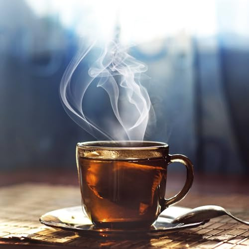 220 Count Orange Pekoe Black Tea Bags Rich Aromatic Refreshing Tea