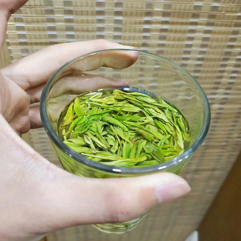 Longjing Green Tea Premium Spring Harvest Individually Packaged Tea Bags