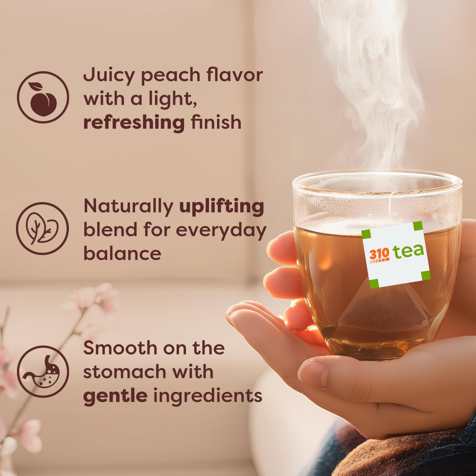 310 Nutrition Peach Flavor Detox Tea – Herbal Tea Sachets for Daily Routine –…