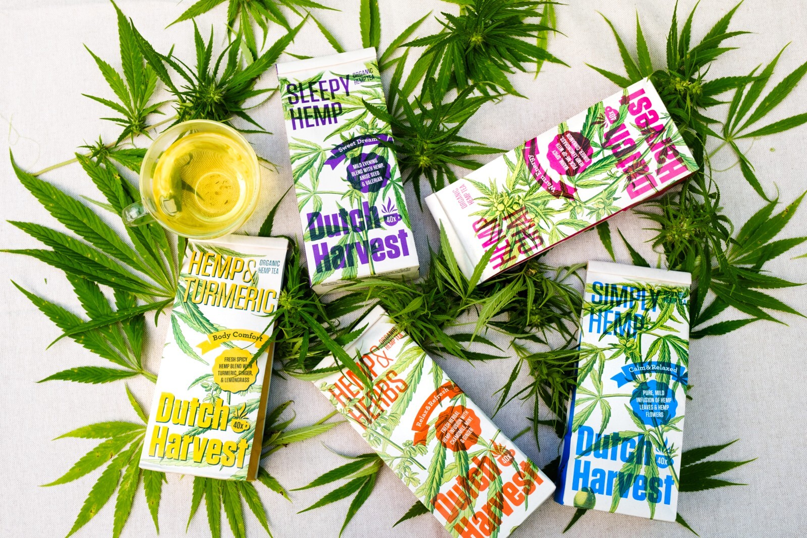Dutch Harvest – HEMP CHAI – A warm, spicy pick-me-up – Organic 