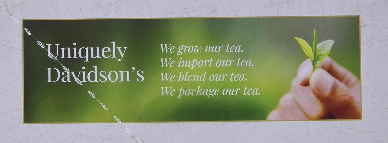 Celebrate with Organic Mulling Spices – 100 Tea Bags Blending Cinnamon & Orange