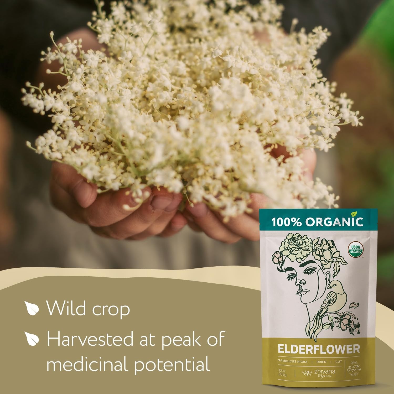 10oz Elderflower Tea – Pure Organic Herbal Remedy for Allergies and Sleep