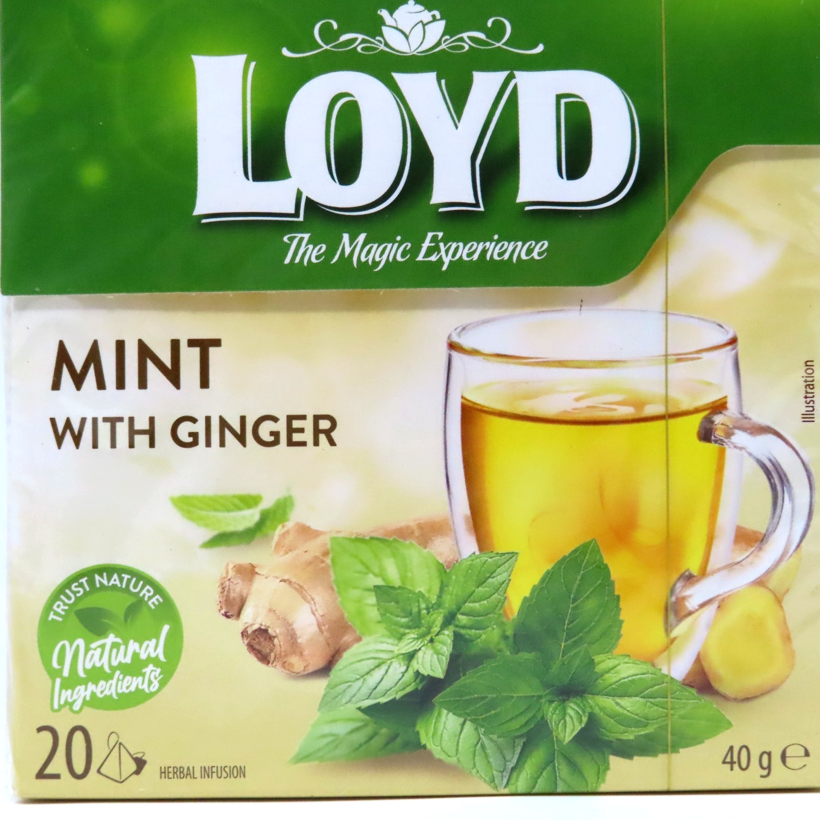 LOYD Flavored Herbal Tea Magic Experience 20 Bags You Pick Flavor Poland