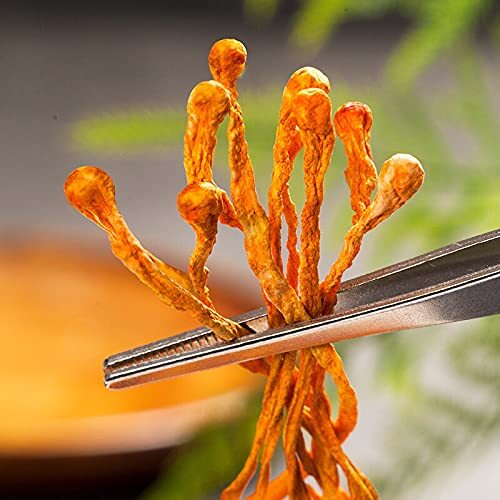 Fujian Cordyceps Flower 250g Golden Cordyceps Cordyceps Flower Dry Goods 8.8 Oz