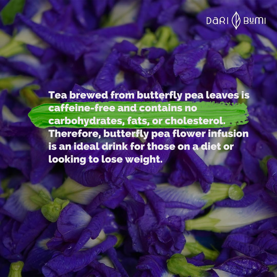 Dari Bumi – Butterfly Pea Tea Herbal Teh Bunga Telang 50 g