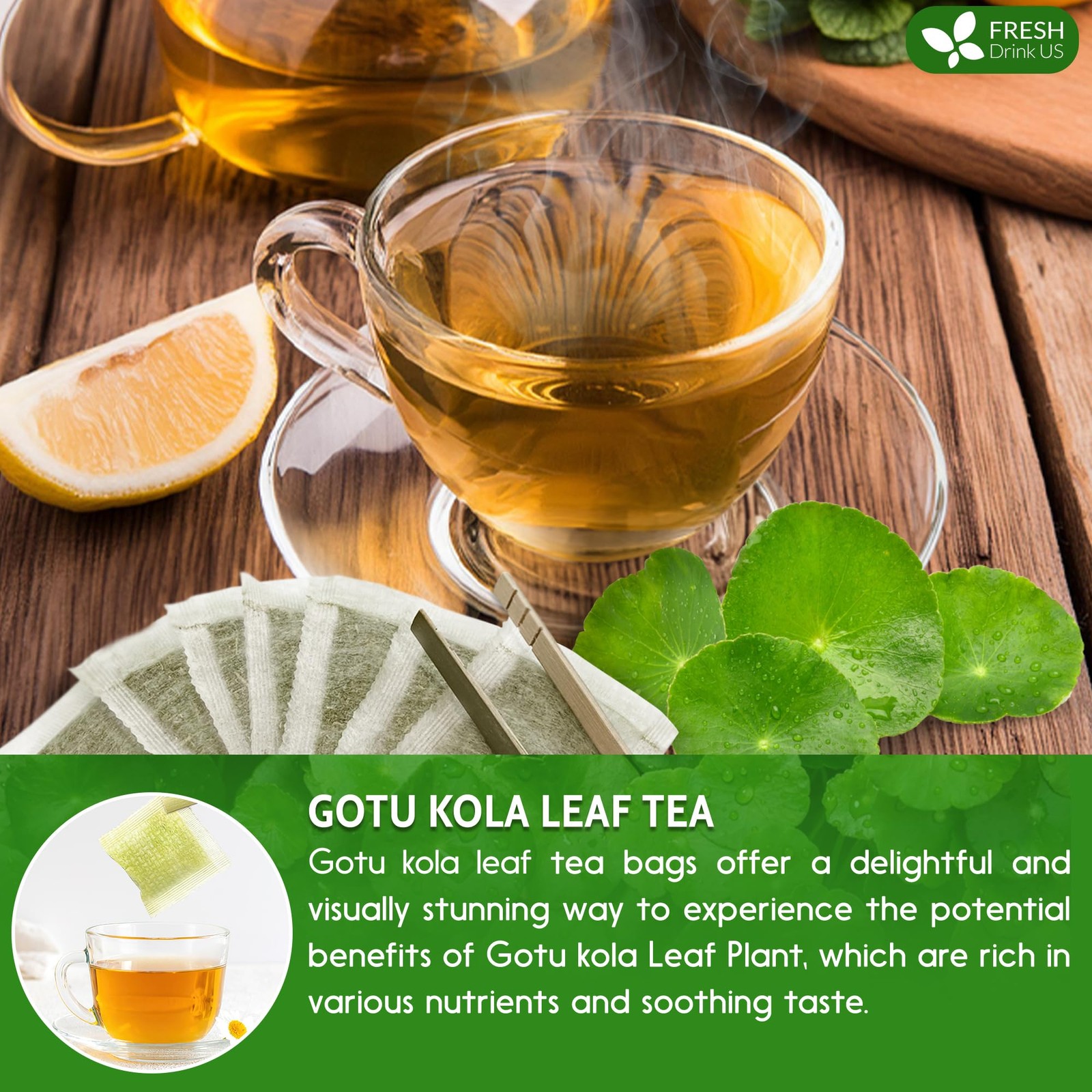 Gotu Kola Leaf Tea Bags – Caffeine-Free Herbal Infusion, 40 Count, Refreshing
