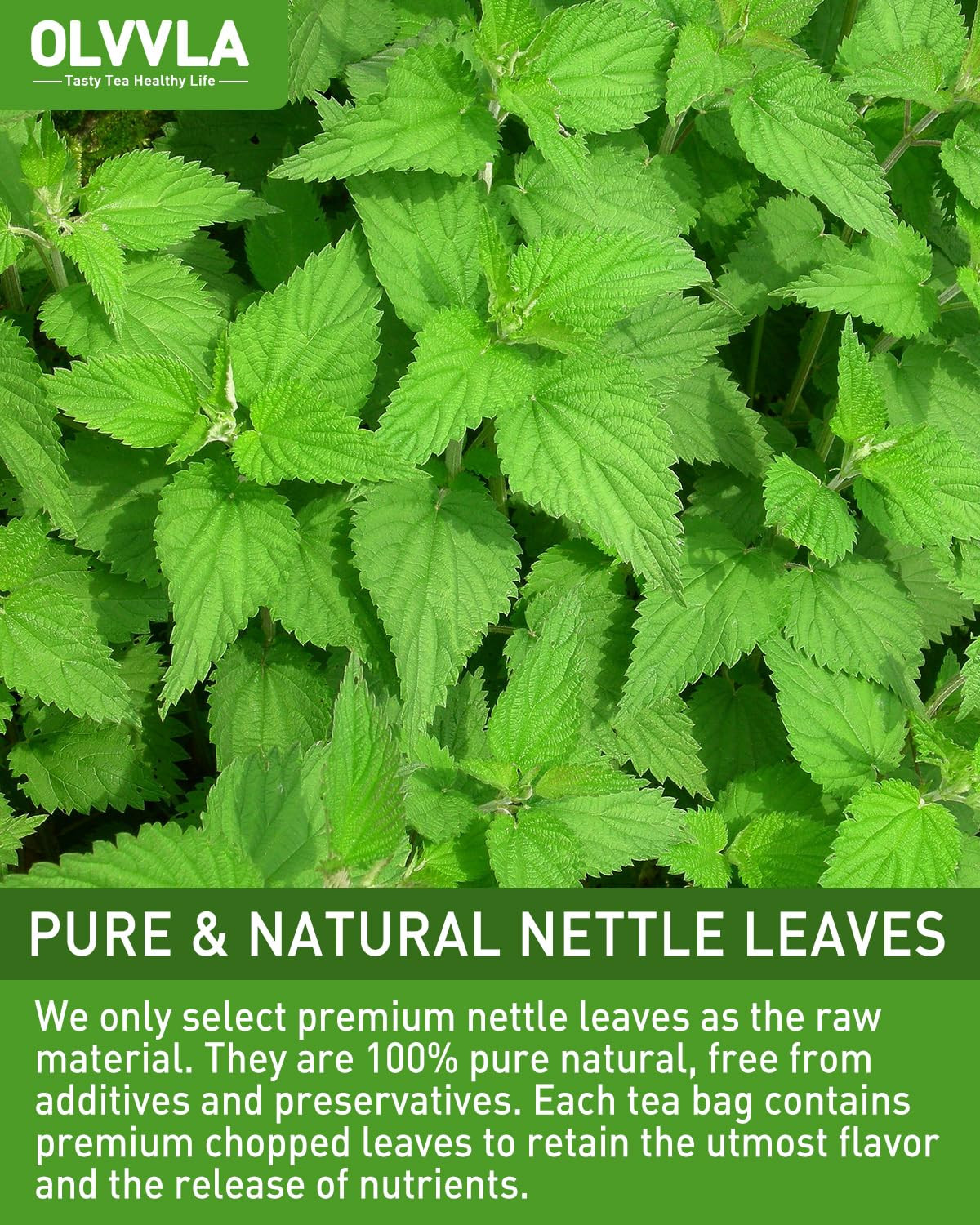 – Premium Nettle Leaf Tea – 1.5G X 60 Count – 100% Pure Natural Stinging Nettle