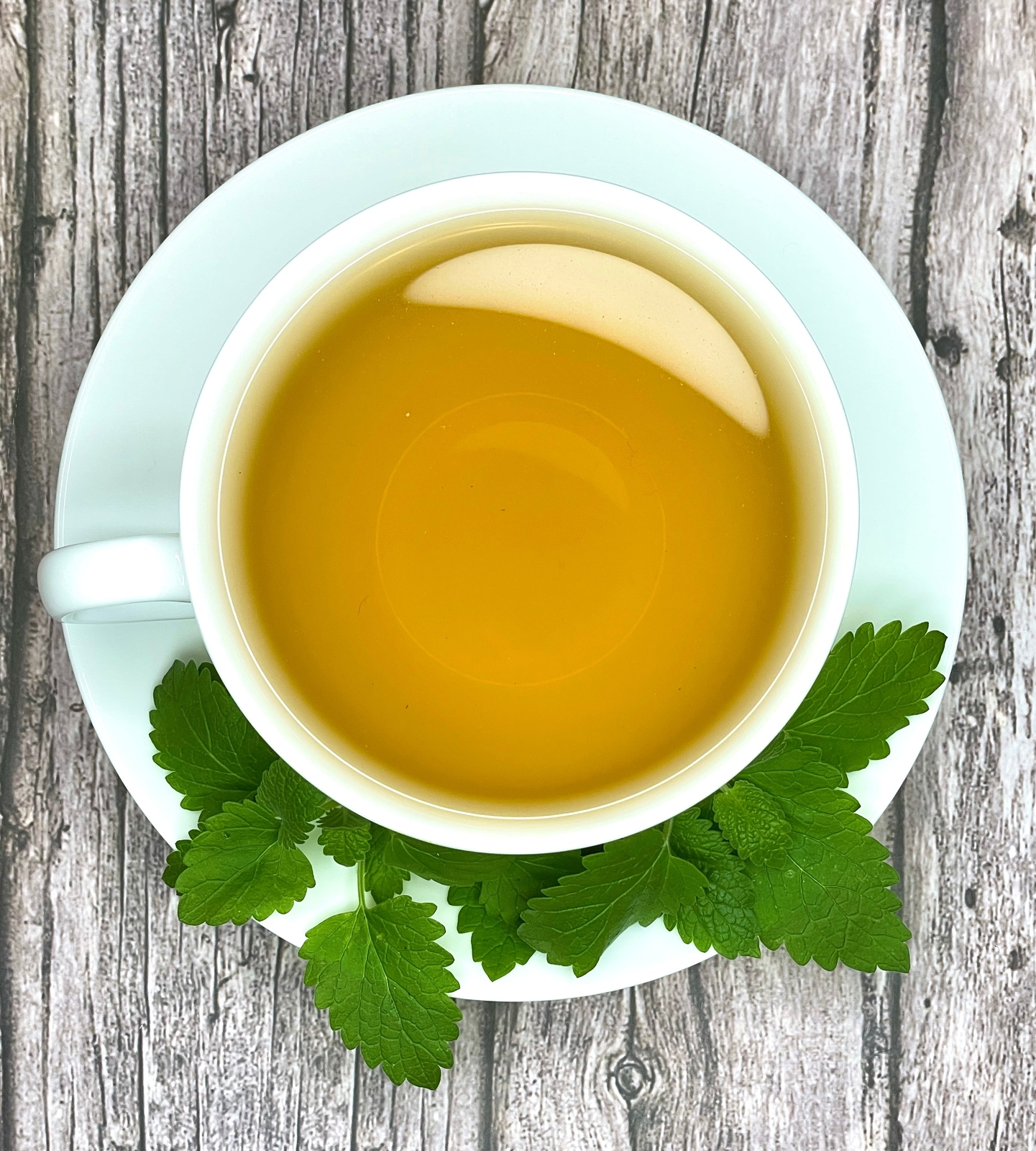 Catnip Tea by Palm Beach Herbals | 30ct, Caffeine-Free