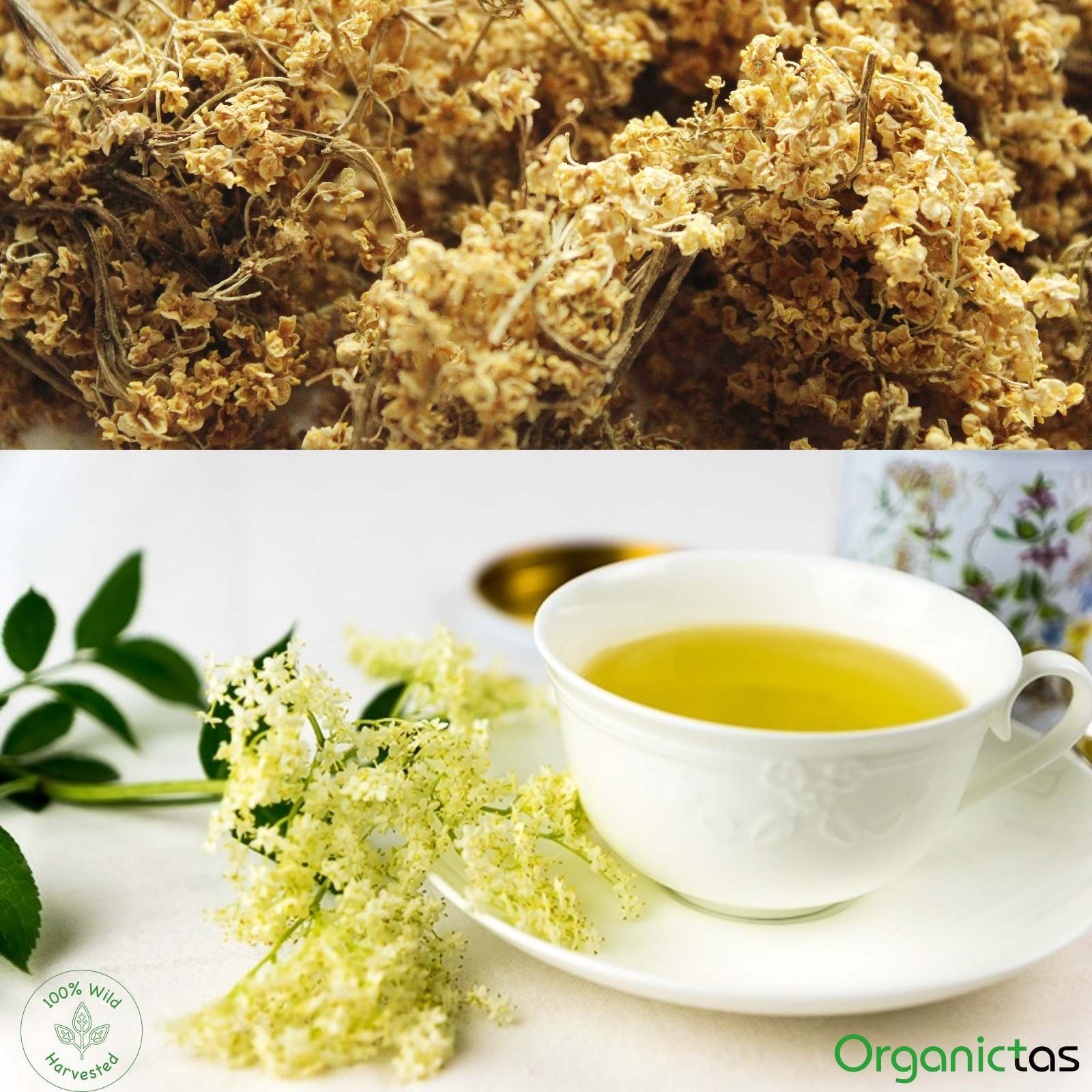 Organic Elder Flowers Tea Wild Harvest Elderflower Sambucus Nigra Dried Flower