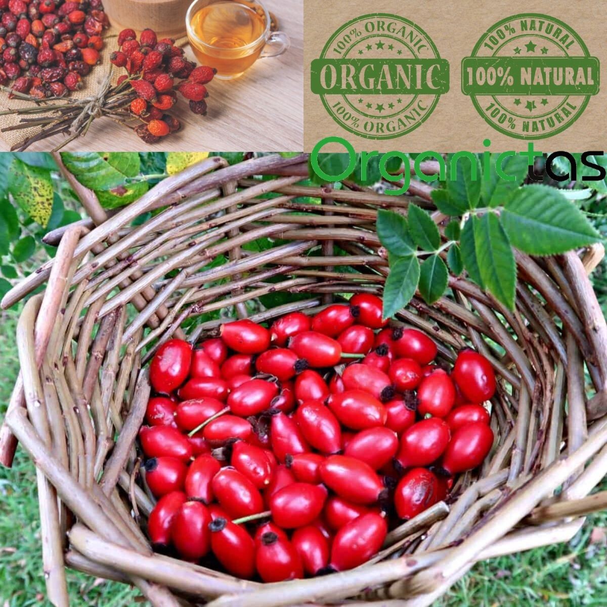 ROSEHIPS TEA Organic Rosehip Tea Best Premium Quality Dried Rose Hip 100g/3.56oz