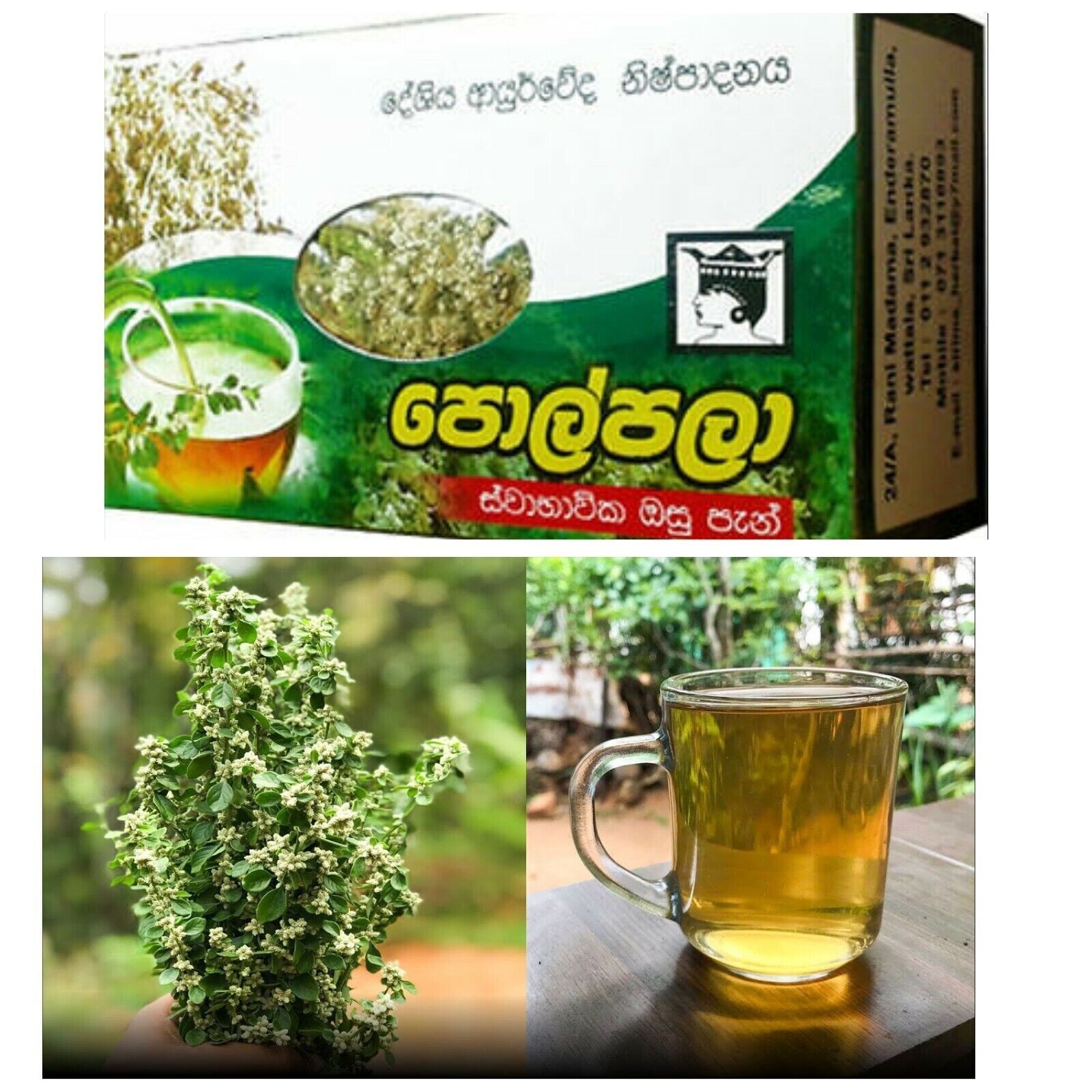 Pure Natural Polpala Herbal Tea 50g * 3pack From Sri Lanka- (Aerva lanata