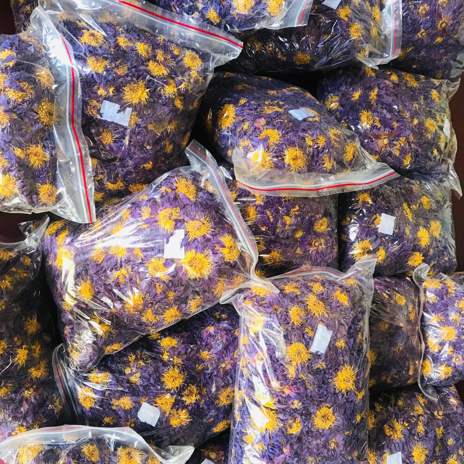 Dried Blue Lotus 100% Hand Picked Ceylon Organic Natural Flowers Egyptian Tea