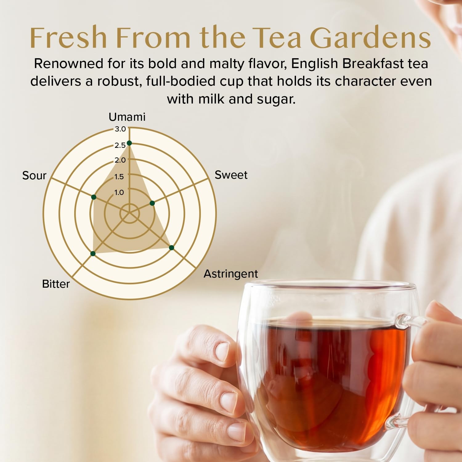 VAHDAM Original English Breakfast Tea (340g/12oz) 170+ Cups | Non GMO, Gluten…