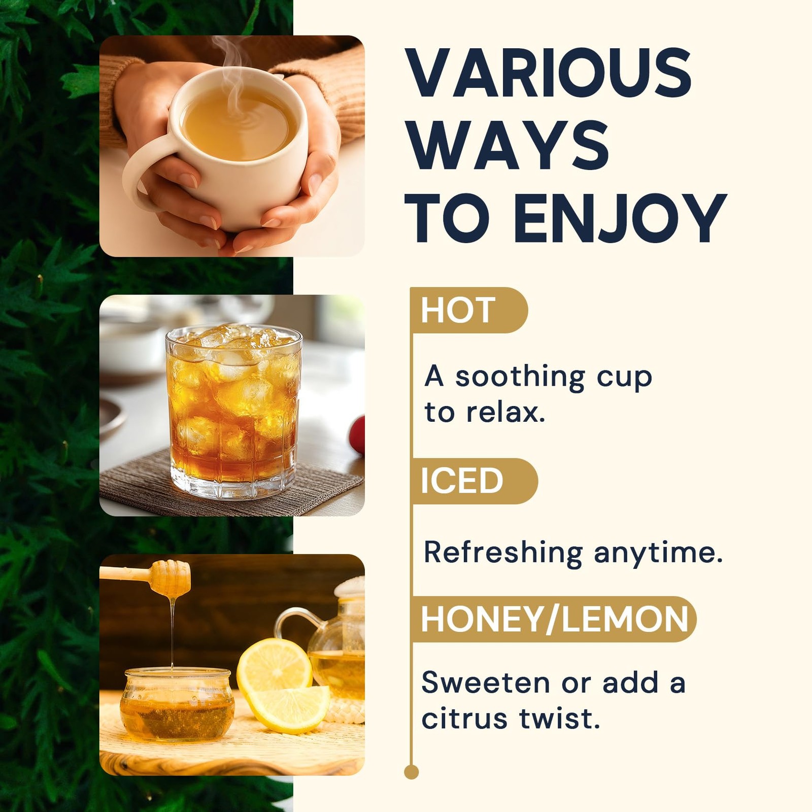Ginger Root Herbal Tea – Caffeine Free, 50 Tea Bags