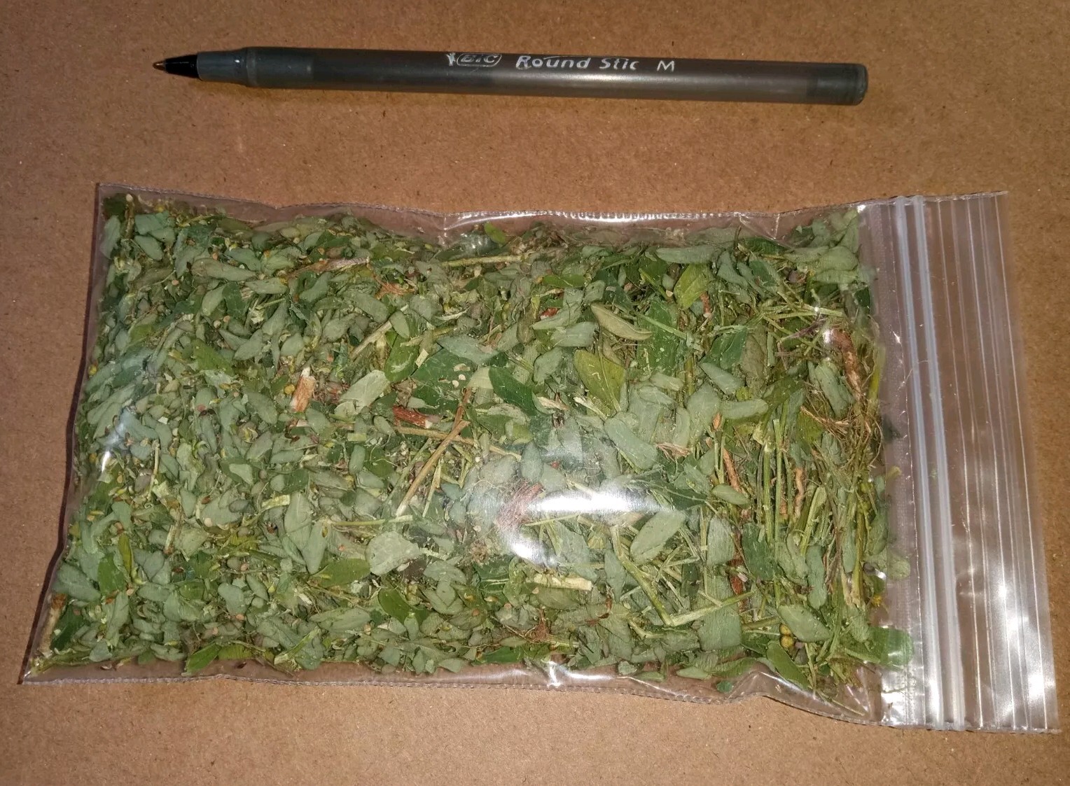 1 Cup Air Dried Stone breaker/Chamber Bitter/Chanca Piedra Herbal Tea.US grown.