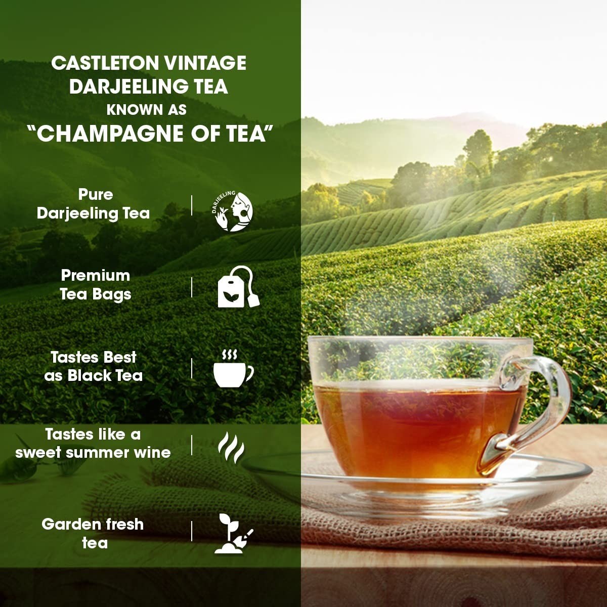 Goodricke Castleton Vintage Darjeeling Tea Bags 180 GM LONG EXPIRY