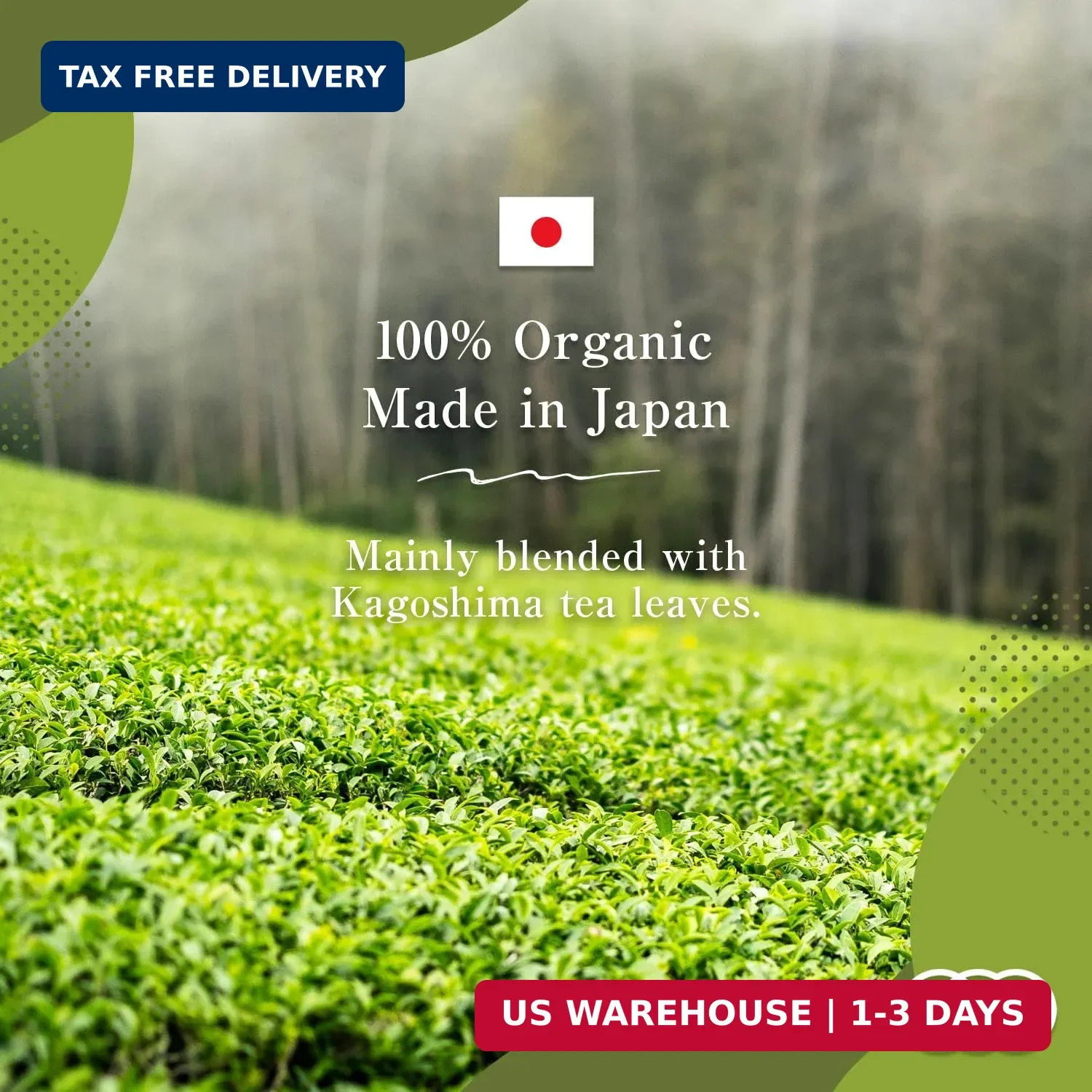Sencha Green Tea – Organic Japanese Green Tea Loose Leaf, 80g Organic Loose Leaf