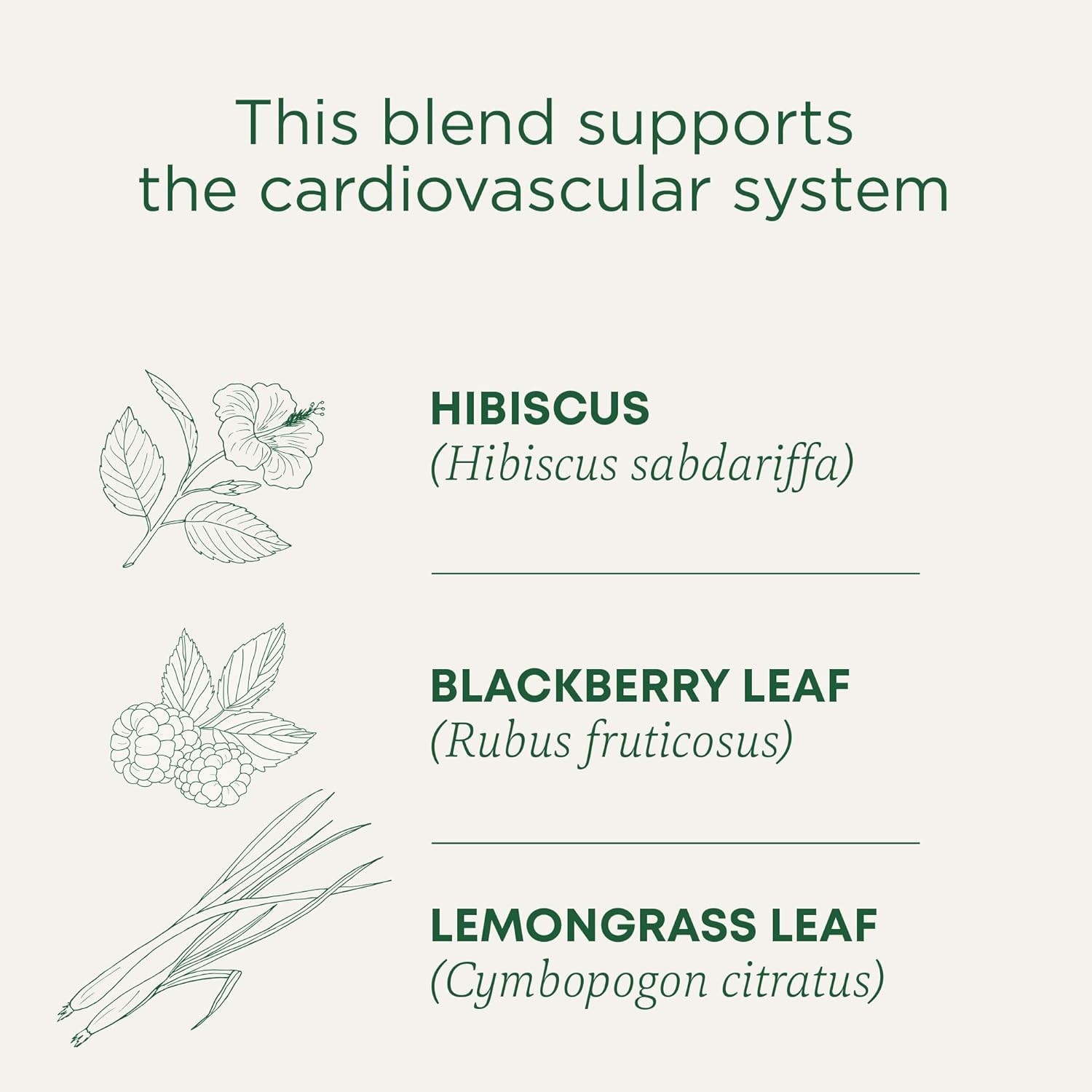 Traditional Medicinals Organic Hibiscus Herbal Tea, 6 Boxes of 16 ct BB 02/2028