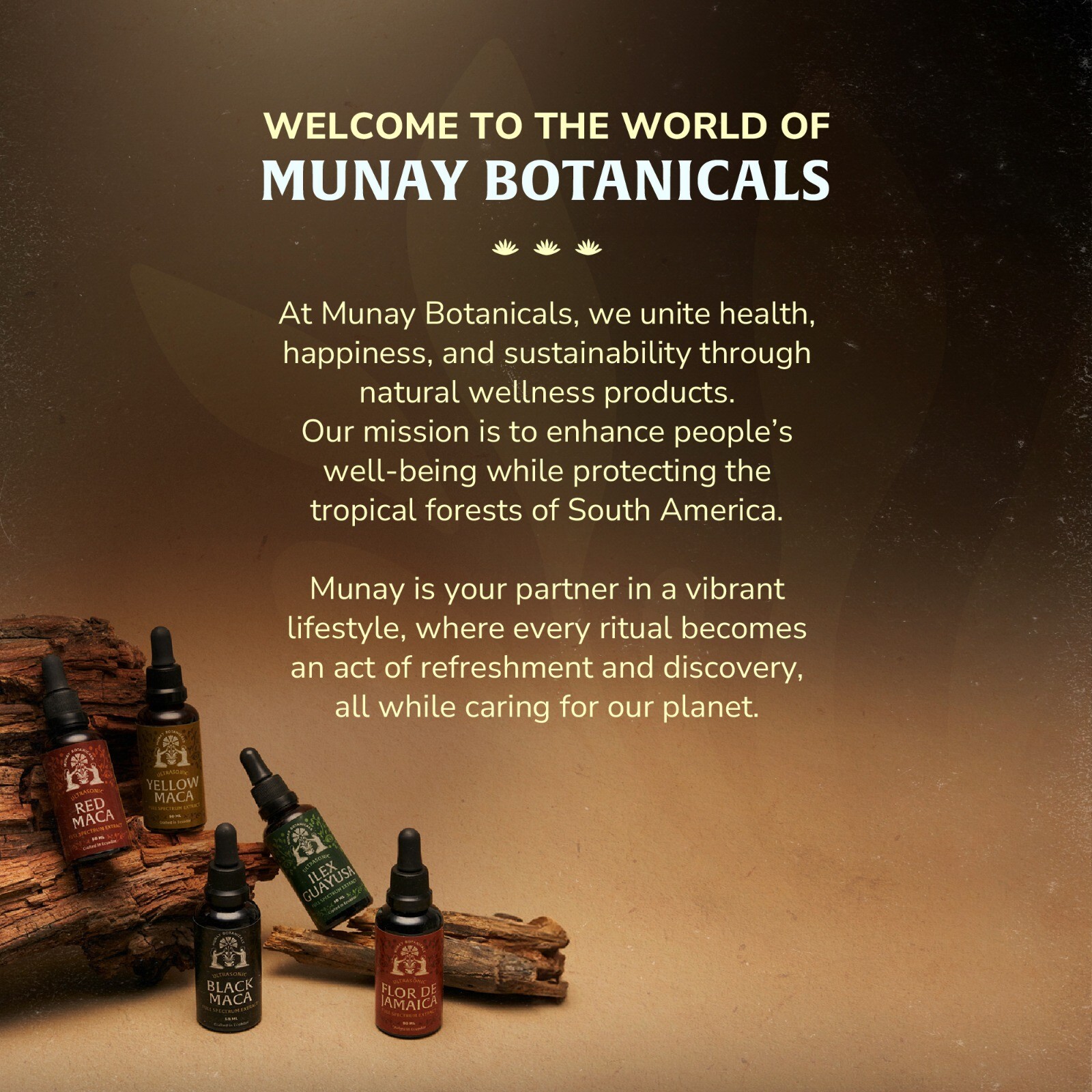 Munay Botanicals Guayusa Extract | Clean Natural Energy & Focus