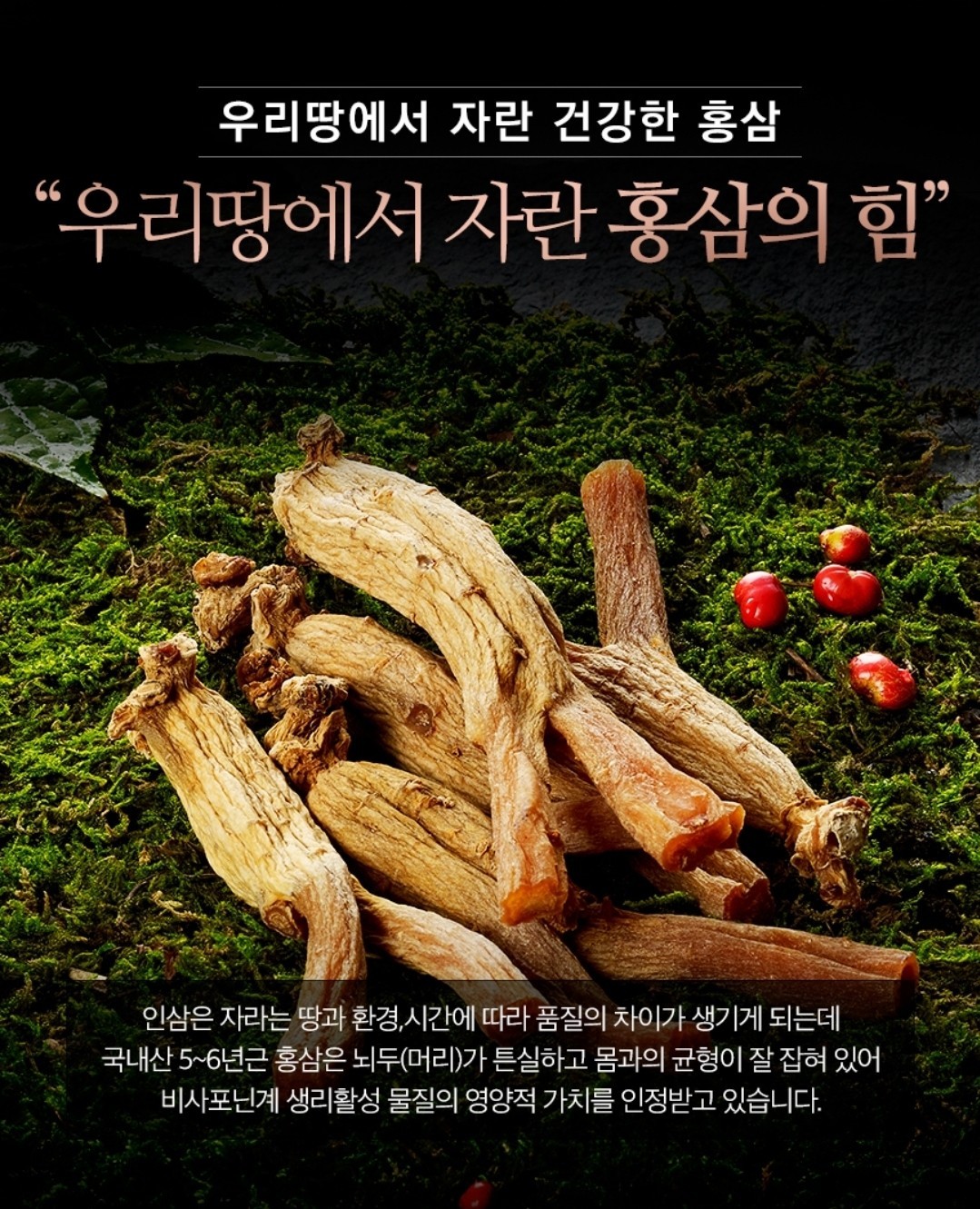 [Boo Ja Red Ginseng] Korean 6 Years Red Ginseng 10ml *30p
