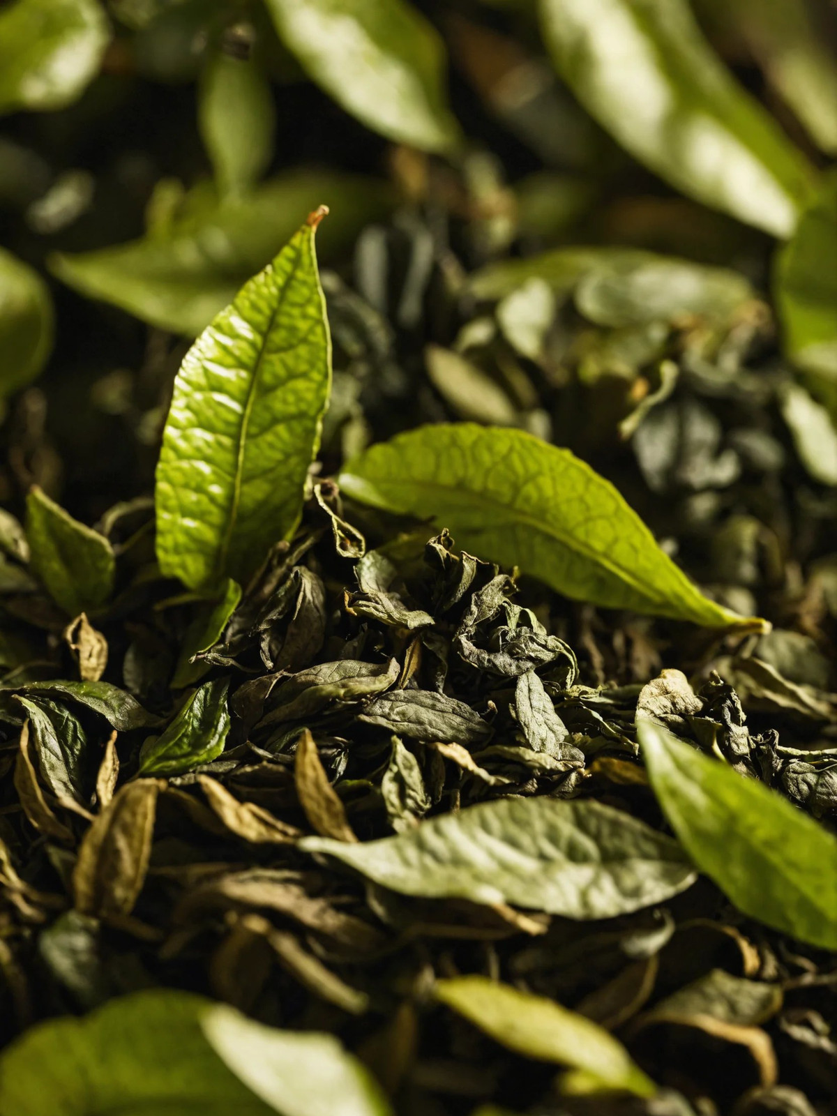Peach Paradise Tea