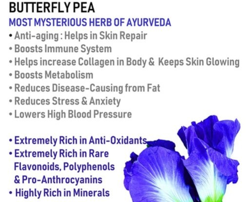 Butterfly Pea Tea Bags(Nil Katarolu) 10 Bags