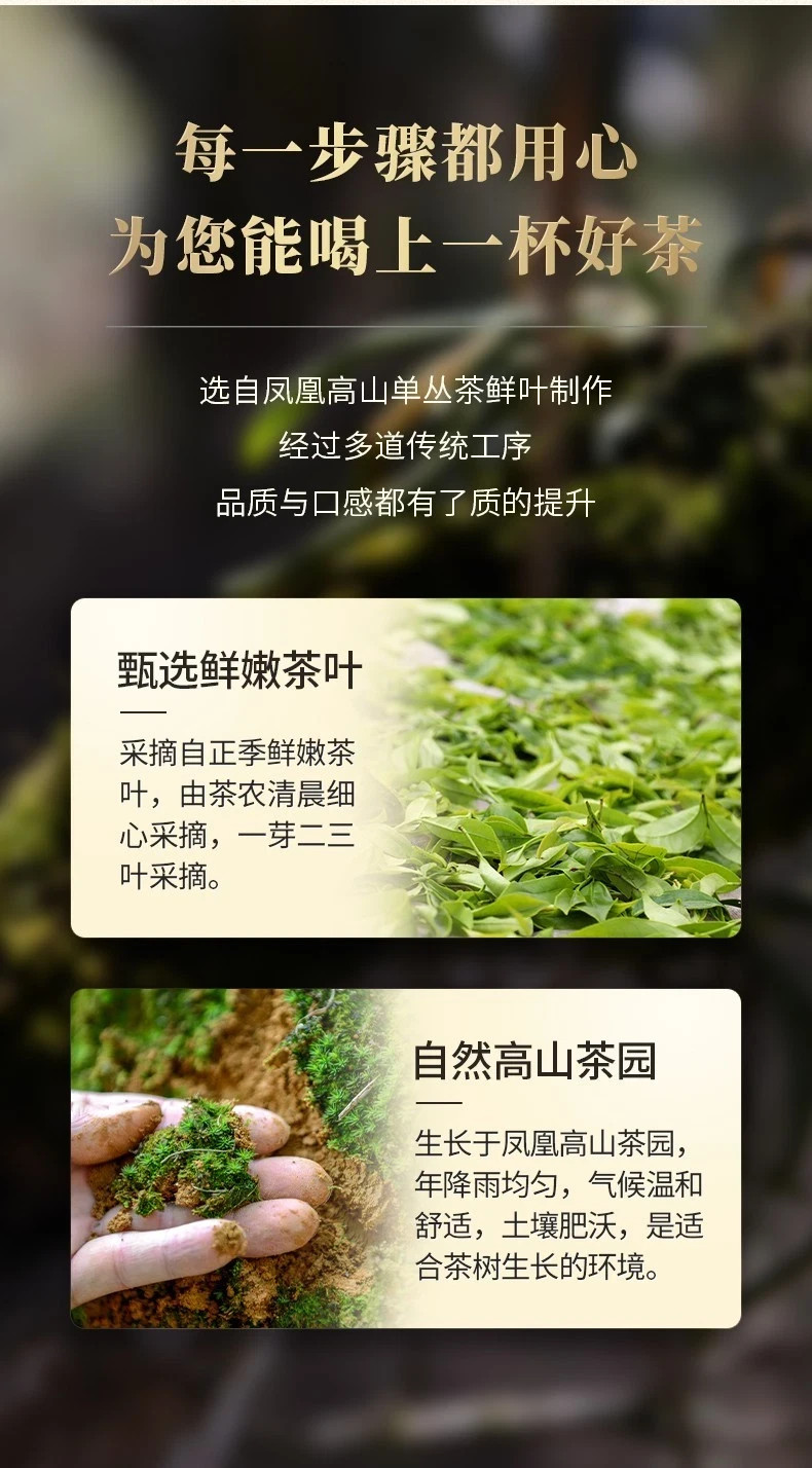 1000g Phoenix Dancong Oolong tea FengHuang dancong tea Zhilan Fragrance 125g*4