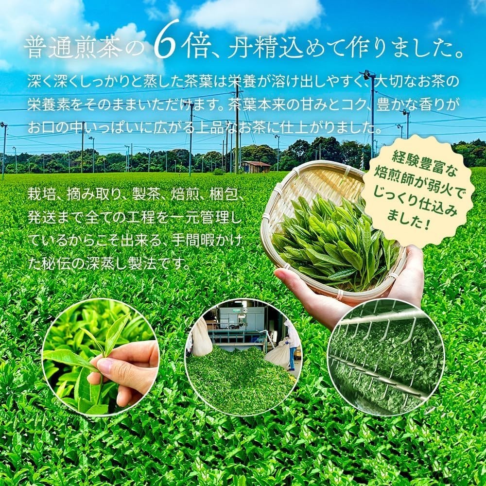 Shizuoka Fukamushi Ichibancha Sencha Green Tea 100g×3 From Japan