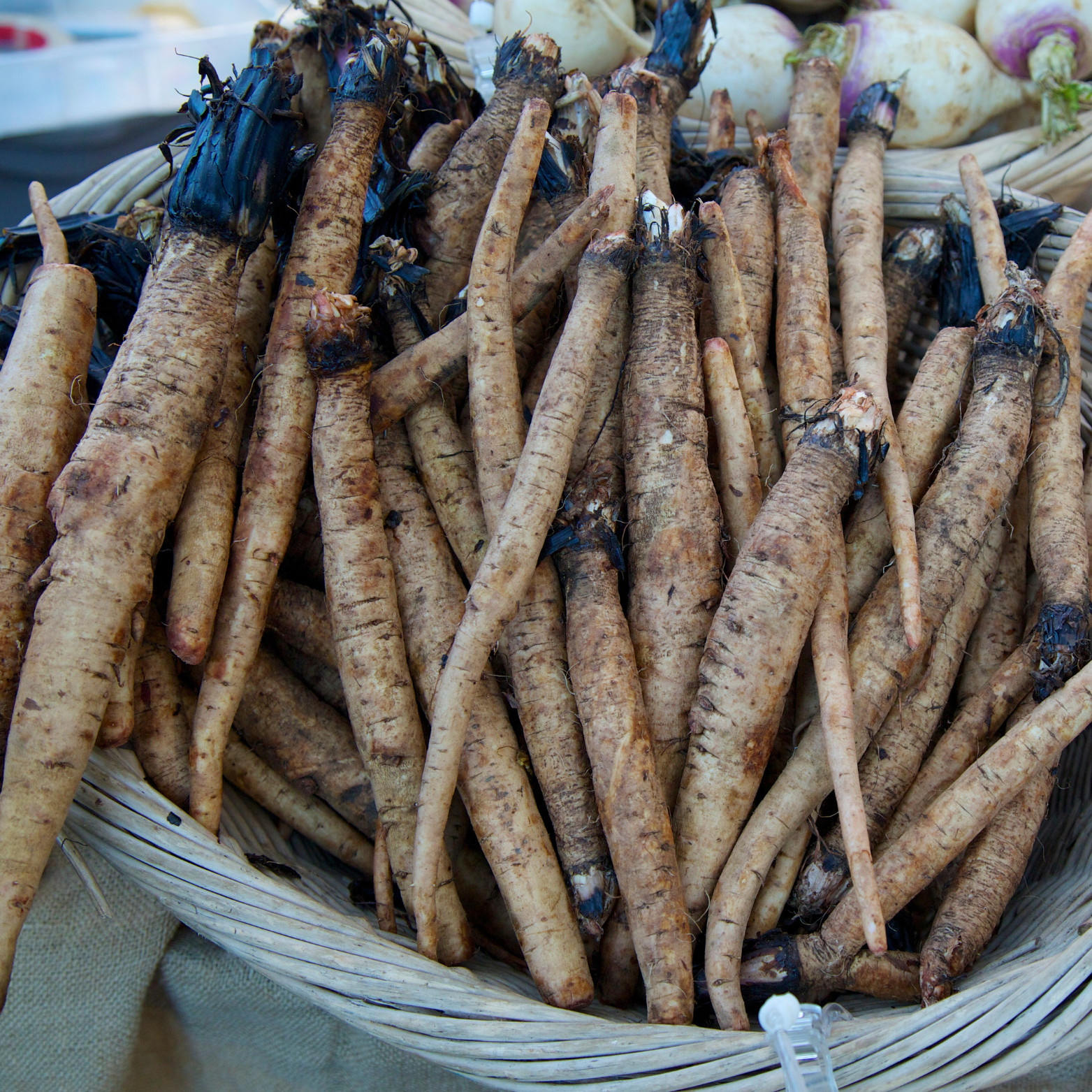 Burdock Root Loose Leaf Tea, Piece’s of Root
